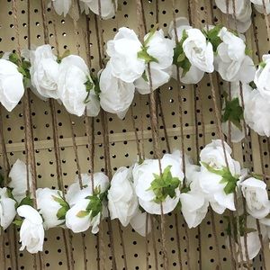 Meet your Posher, Hailey